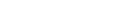 SIG ONE